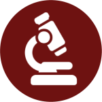 1744781881_Icon 24.png